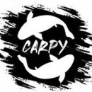 carpy