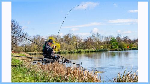 Feeder & Match & Pole