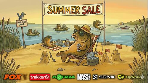 Summer SALE 2026