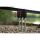 Korda Basix Mini Stow Green