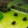 Thinking Anglers Oval Rubber Beads