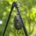Avid PRO-Tect Deluxe Tripod