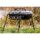 RT4 / RT7 Baitboat Pod COMPACT Edelstahl schwarz
