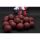 Dudi Bait Forest Squid Boilies