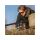 Avid SeeThru AV Classic Polarised Sunglasses Brown Lens