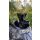 Carp Royal Toslon CR-X  Hurricane Futterschleuder Mietversion