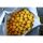 MTC Baits Boilie Big Banana - 5 kg - 16 mm