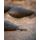 Fox Distance Lead 4.5oz / 127g