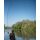 Fox Horizon X4-S 12ft Floater 2.25lb Full Shrink
