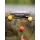 One More Cast Lock Hook Ronnie Boys Hi-Viz Pack Size 4 Barbed
