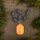 PB Products DT Contra-Liners 6Stück