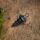 PB Products Bait Screw 360 Black 10 Stück
