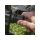 Preston Inception 360