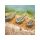 Preston Ics In-Line Banjo Xr Feeder - Small 20G