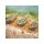 Preston Ics In-Line Banjo Xr Feeder - Medium 20G
