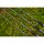 Preston Supera X Distance 3.6m Feeder