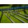 Preston Supera X Distance 3.6m Feeder