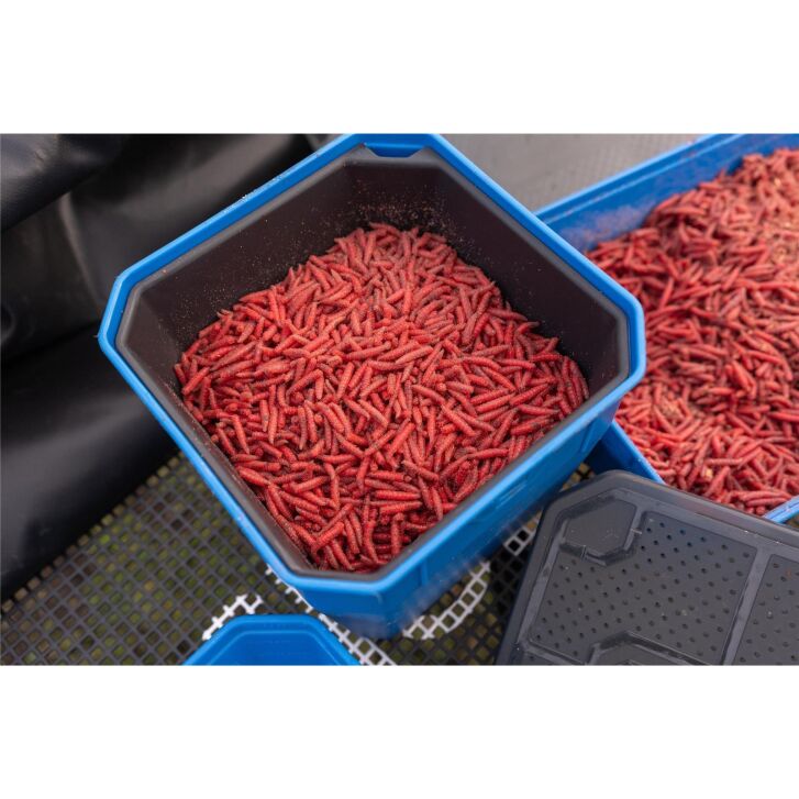 Preston 4Pt Bait Tub