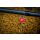 Matrix MXC-4 Size 12 Barbless / 0.23mm / 4" (10cm) / X-Strong Boilie Pin - 8pcs