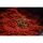 Sonubaits PRO GroundBait - ROBIN RED (900gr)