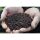 Sonubaits Spicy Sausage Halibut Pellets - 3MM