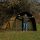 NGT XL Profiler Dome 2 Man Bivvy