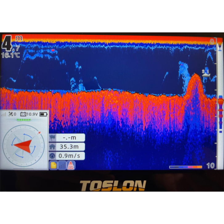 CARP ROYAL TOSLON PULSE XR500