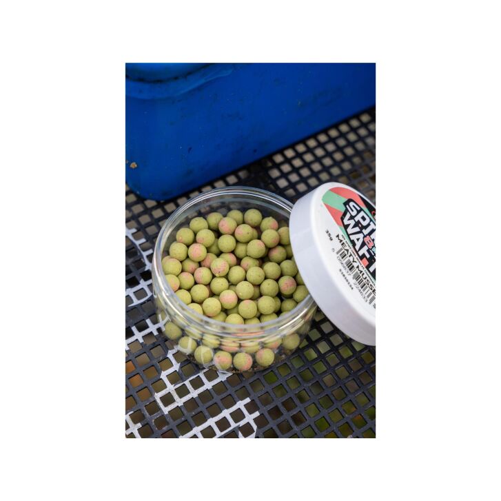 Sonubaits Spikeum Wafter Meaty Mussel