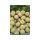 Sonubaits Spikeum Wafter Meaty Mussel