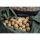 CCmoore Odyssey XXX Shelf Life 18mm 5kg