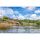 Preston Superium Power Carp 13m Pole