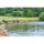 Preston Superium Power Carp 13m Pole