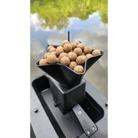 CARP ROYAL HURRICANE MIT FERNBEDIENUNG PULSE
