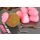 Korda Slow Sinking Corn Fruity Squid Pink