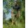 Korda Kore Kombat Shorts Military Olive S